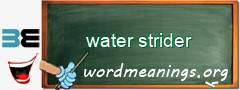 WordMeaning blackboard for water strider
